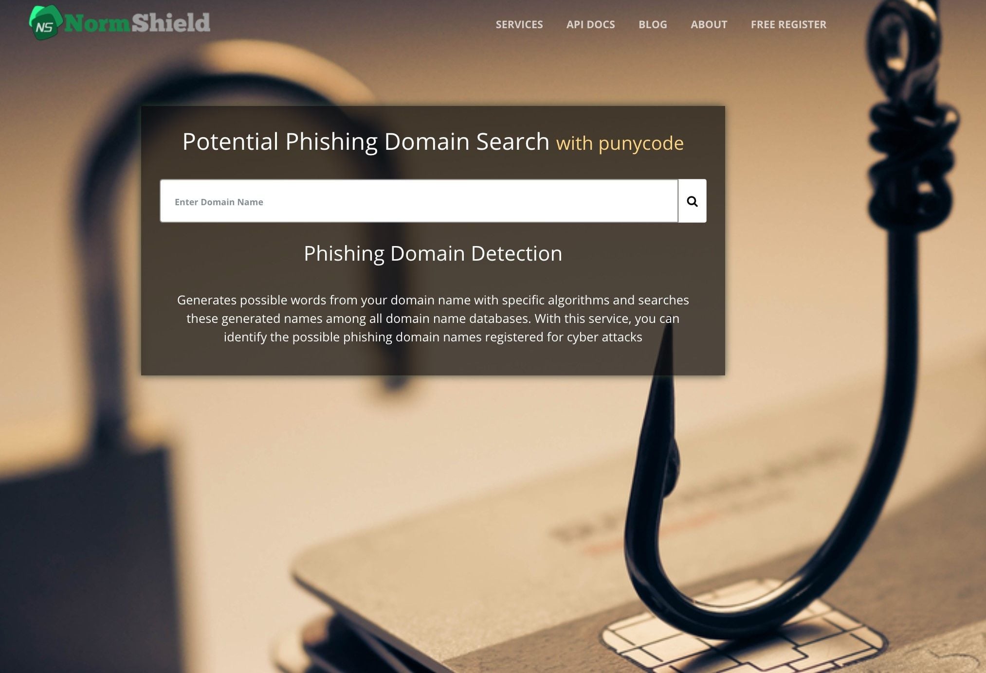 potential_phishing_domain_search